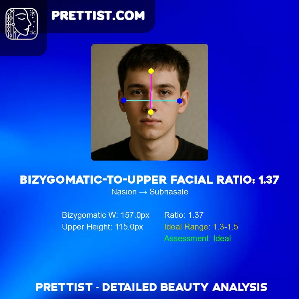 Bizygomatic